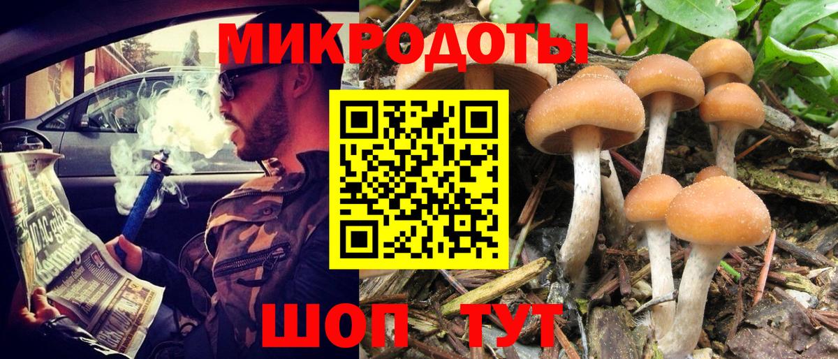 Новокузнецк  Галлюциногенные грибы мицелий  Вход с VPN 