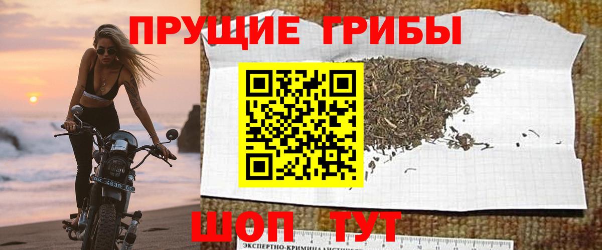 Галлюциногенные грибы Cubensis Новокузнецк